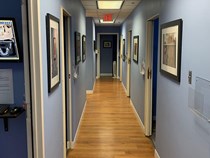 Ingber Dental Ingber Dental